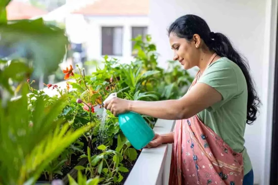 Top 15 des meilleures plantes en pot pour votre balcon