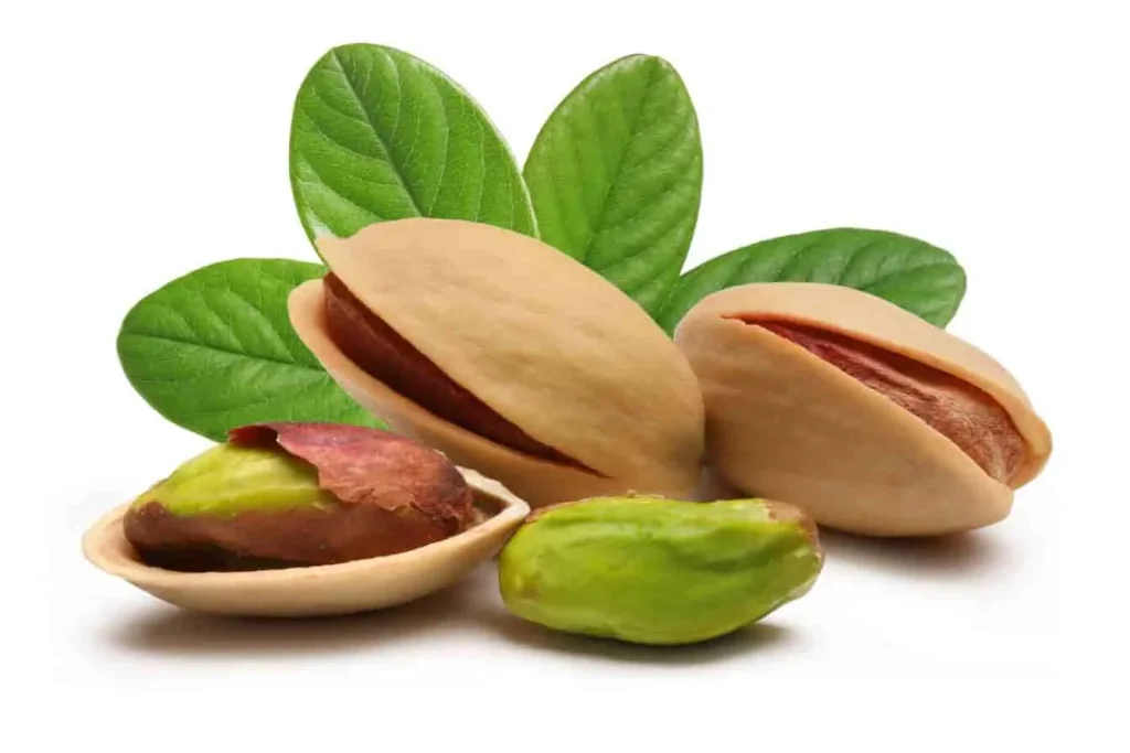 Pistaches en coque et éclatées posées sur fond végétal, image qui illustre les ingrédients naturels liés au vin de noix