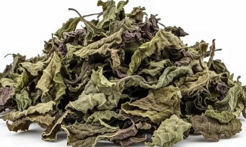 Gros plan sur feuilles séchées aux teintes vertes et brunes, illustrant le processus de sécher les herbes aromatiques pour conservation et usage culinaire