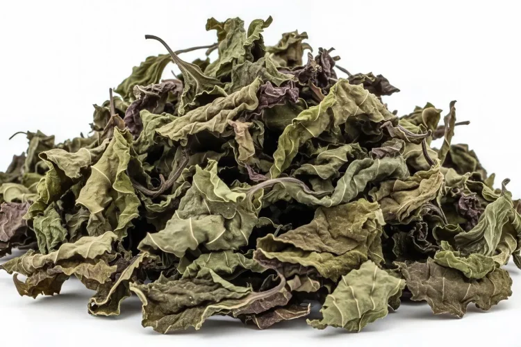 Gros plan sur feuilles séchées aux teintes vertes et brunes, illustrant le processus de sécher les herbes aromatiques pour conservation et usage culinaire