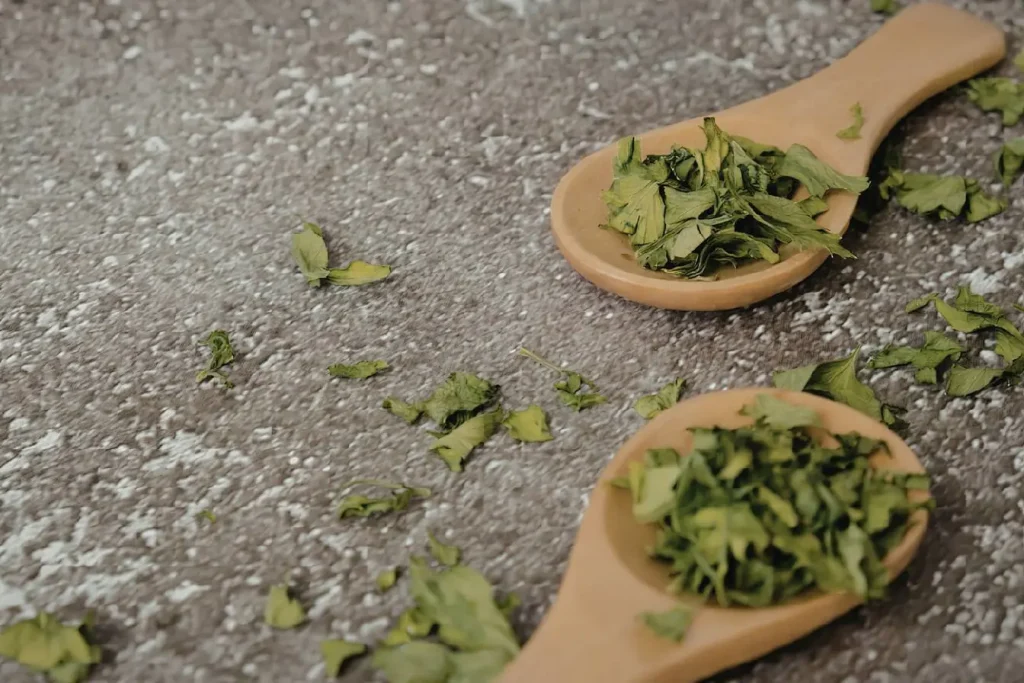 Herbes séchées vertes disposées dans cuillères en bois