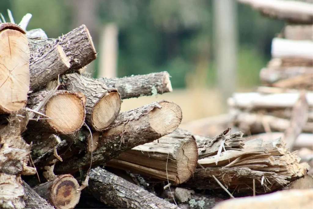 Tas de bois sec empilé avec écorce visible, reflétant le bois de chauffage idéal pour cheminée ou poêle