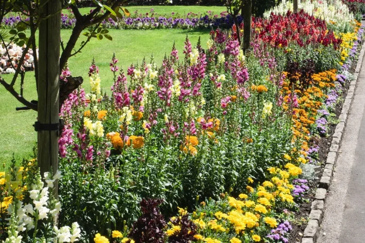 Jardin fleuri aux couleurs vives avec allées bordées de pierres représentant un aménagement paysager inspiré d’un jardin de graminées
