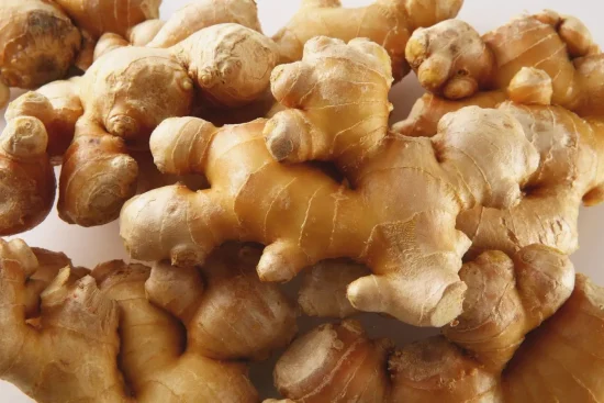 Faire pousser du gingembre chez soi : le guide complet de la plantation à la récolte