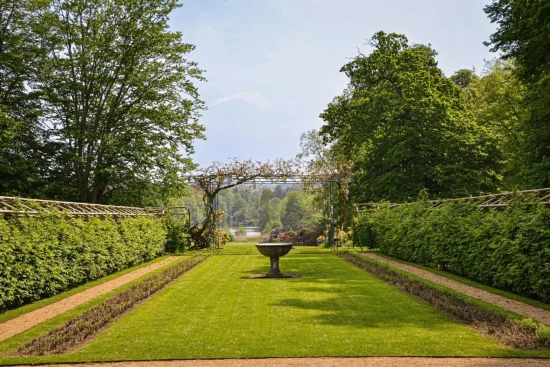 Comment planter une haie libre ? Guide complet pour un jardin naturel et biodiversifié