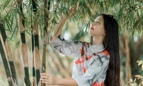 Personne en tenue traditionnelle touchant feuilles de bambou au milieu de tiges vertes illustrant idée de multiplier les bambous dans un cadre naturel.