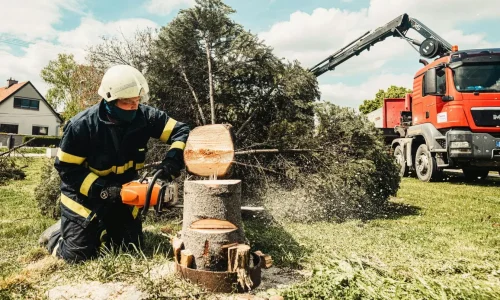 Personne équipée d’un casque et uniforme de sécurité utilisant tronçonneuse, image illustrant la réglementation sur l’abattage d’arbre en propriété privée.