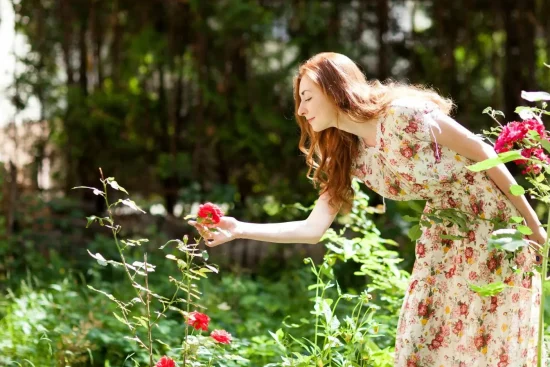 Créer un jardin olfactif ? Guide pour concevoir un espace aux mille senteurs