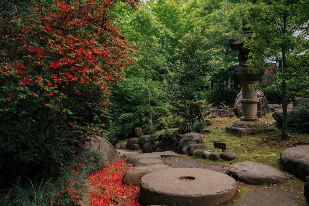 Allée de pierres irrégulières posées sur mousse, reflet d’un chemin en pas japonais qui guide la promenade dans le jardin.