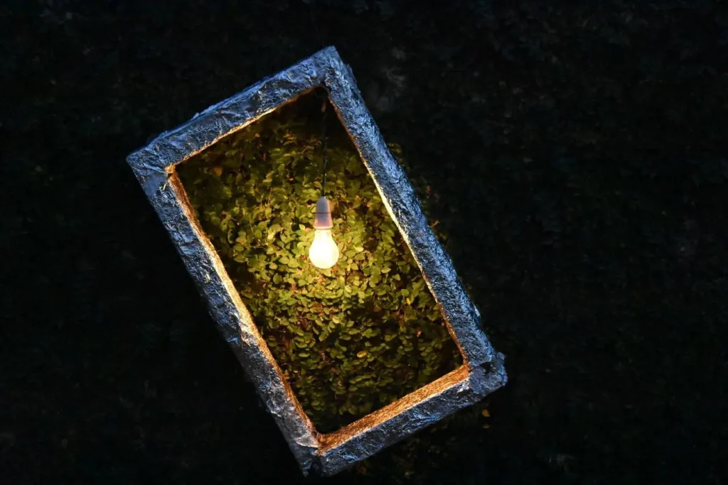 Boîte recouverte de feuille réfléchissante avec ampoule éclairant plantes vertes, image illustrant l’installation d’un éclairage solaire pour jardin.