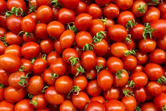 Choisir le bon engrais pour ses tomates : guide complet pour une récolte abondante