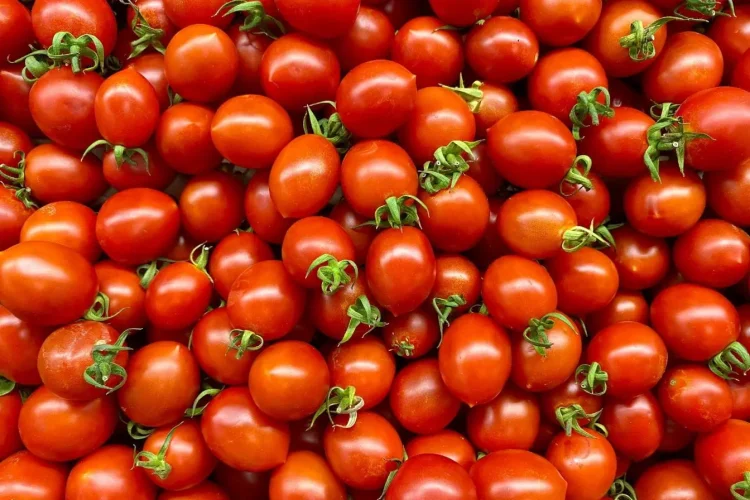 Tomates mûres regroupées avec quelques tiges vertes, reflet de la vitalité apportée par un engrais naturel.