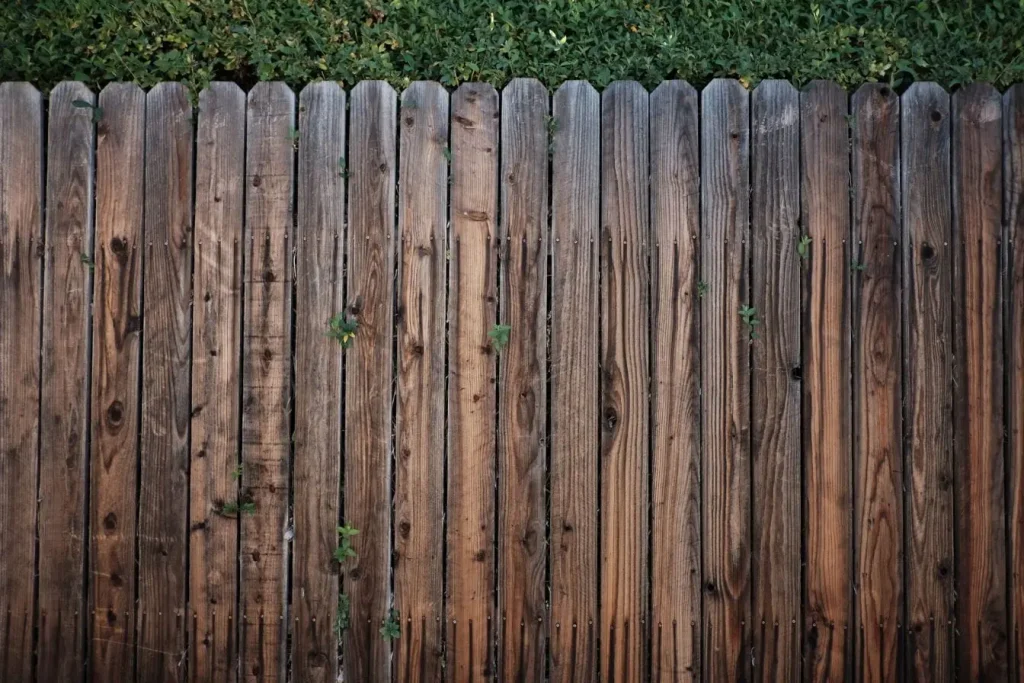 Palissade en bois marquée par le temps avec plantes grimpantes, reflet de l’efficacité d’un brise-vue de jardin.