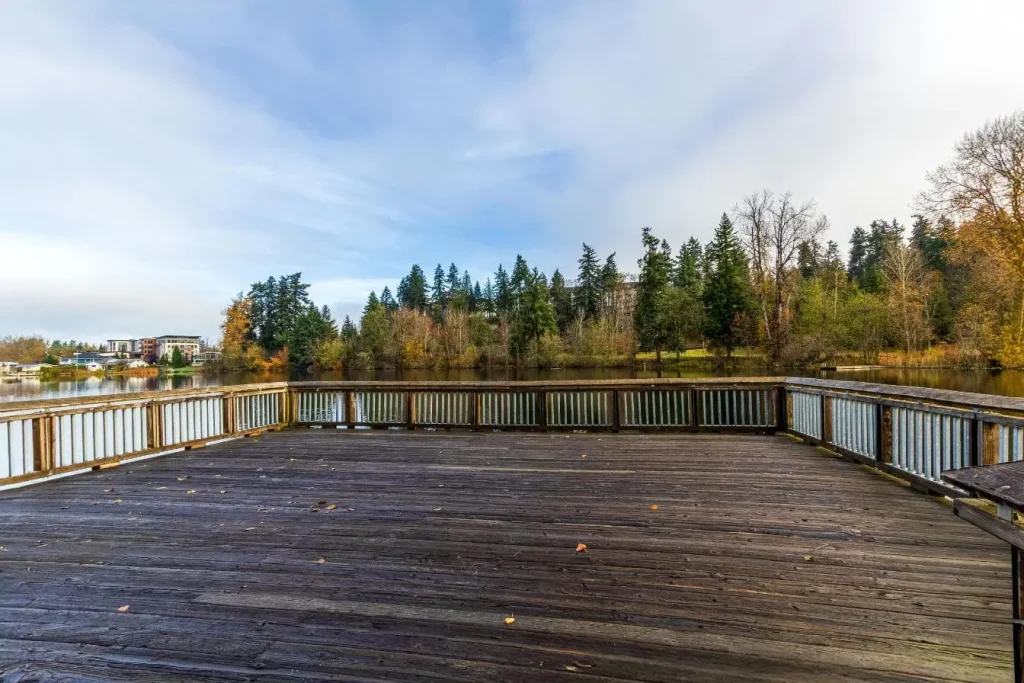 Grande terrasse en bois surplombant lac calme entouré d’arbres, image qui illustre l’entretien nécessaire d’une terrasse en bois exotique.
