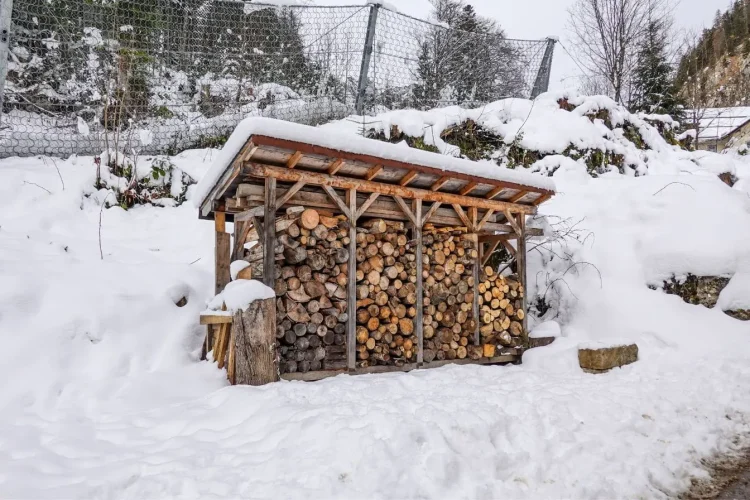 Abri en bois rempli de bûches empilées sous toit enneigé, image qui illustre la préparation d’un abri à bois de chauffage en hiver.