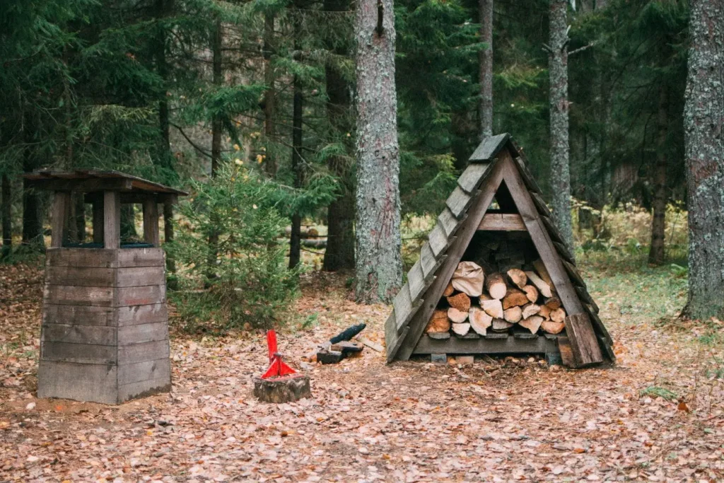 Petit abri en bois rempli de bûches empilées dans la forêt, image qui illustre la fonction d’un abri à bois de chauffage rustique.
