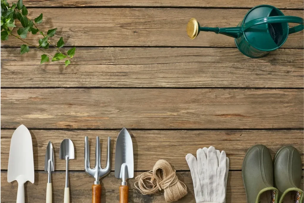 Ensemble d’outils de jardin posés sur bois, reflet d’un rangement pratique associé à une cabane à outils de jardin en bois.