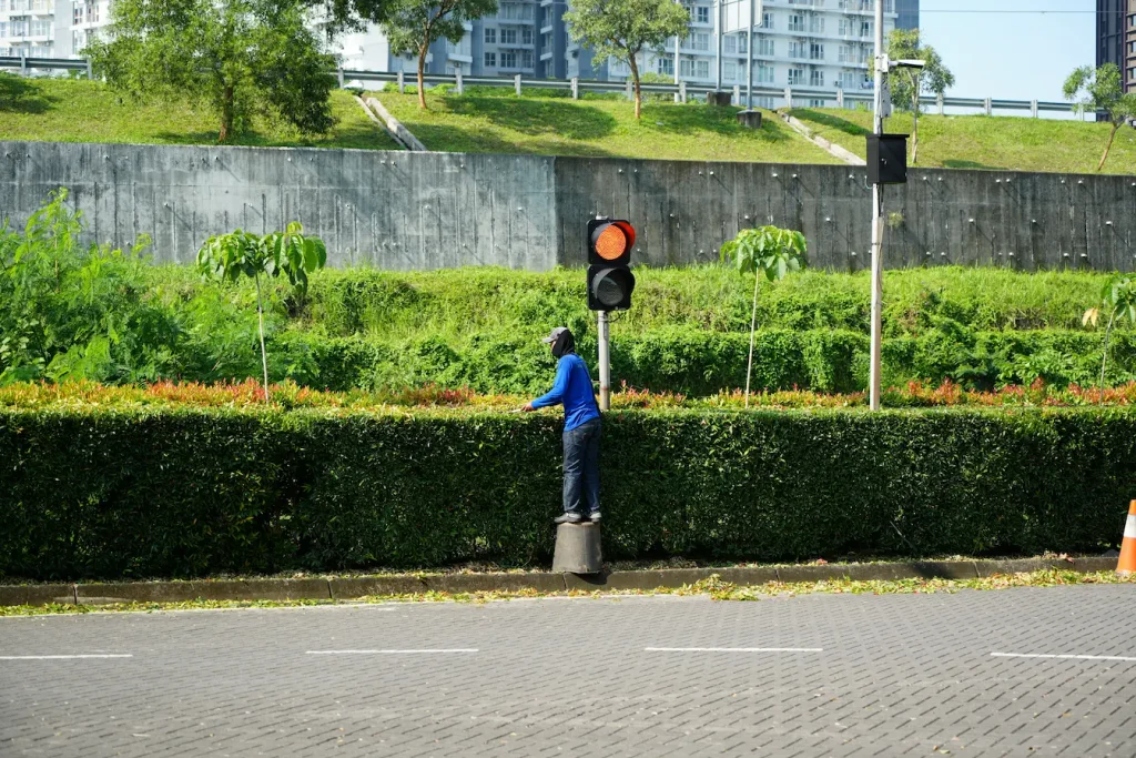 Gros plan sur haie verte dense taillée avec précision, reflet des méthodes d’entretien d’un taille-haie.