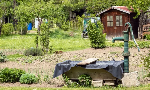 Pompe manuelle verte fixée sur socle béton dans jardin, symbole des solutions pratiques pour installer une pompe de relevage.