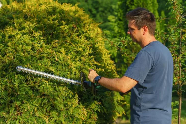 Personne en t-shirt bleu utilisant taille-haie électrique sur buisson dense, reflet des gestes liés à l’entretien d’un taille-haie.