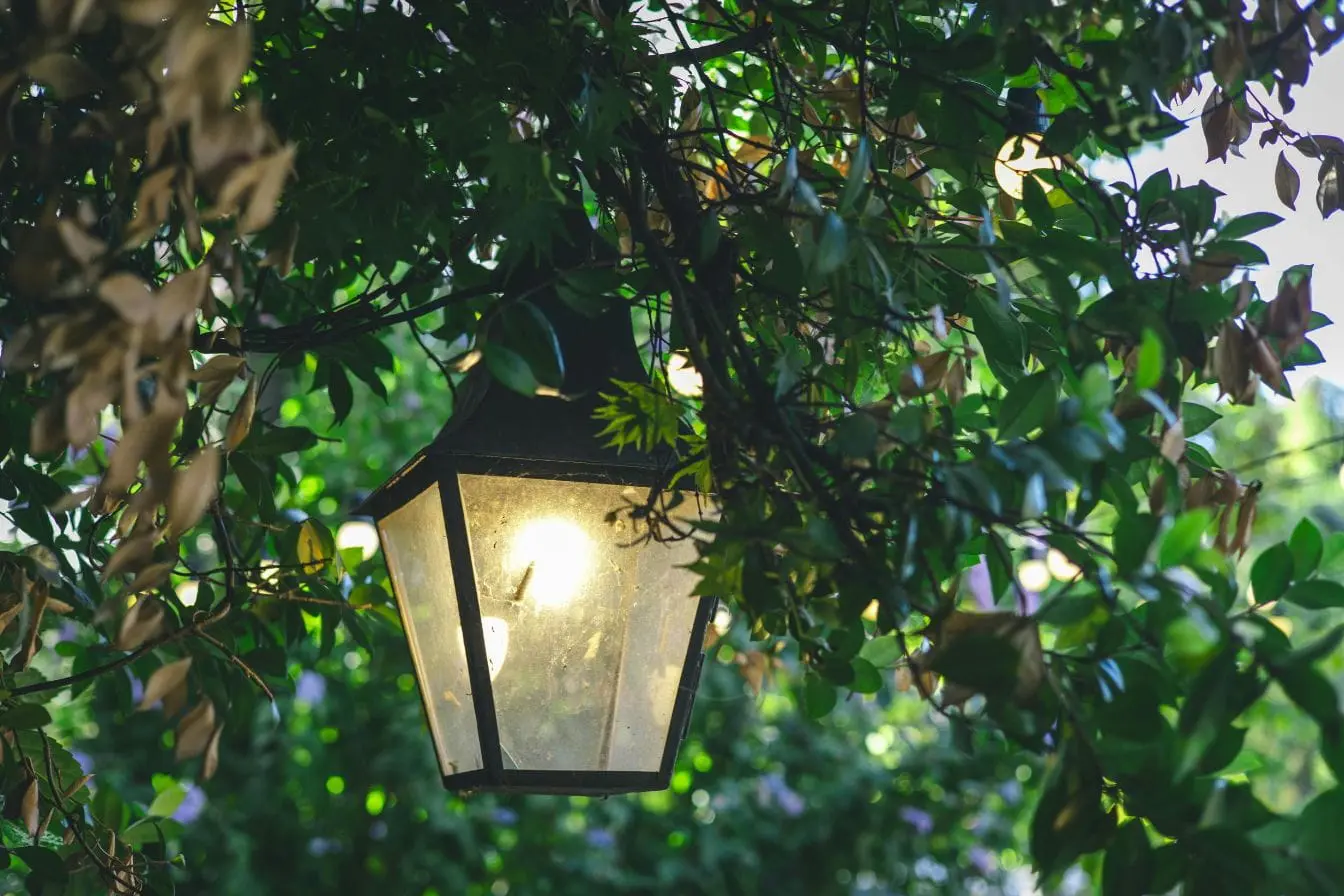 Lanterne noire suspendue parmi feuillage vert, symbole des choix d’éclairage LED pour mettre en valeur un jardin.