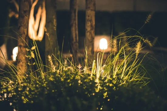 Choisir l&rsquo;éclairage LED pour son jardin : guide complet et idées d&rsquo;aménagement