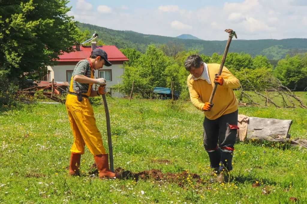 Deux personnes en tenue de travail creusant sol humide, symbole des gestes nécessaires pour vidanger une fosse septique en milieu rural.